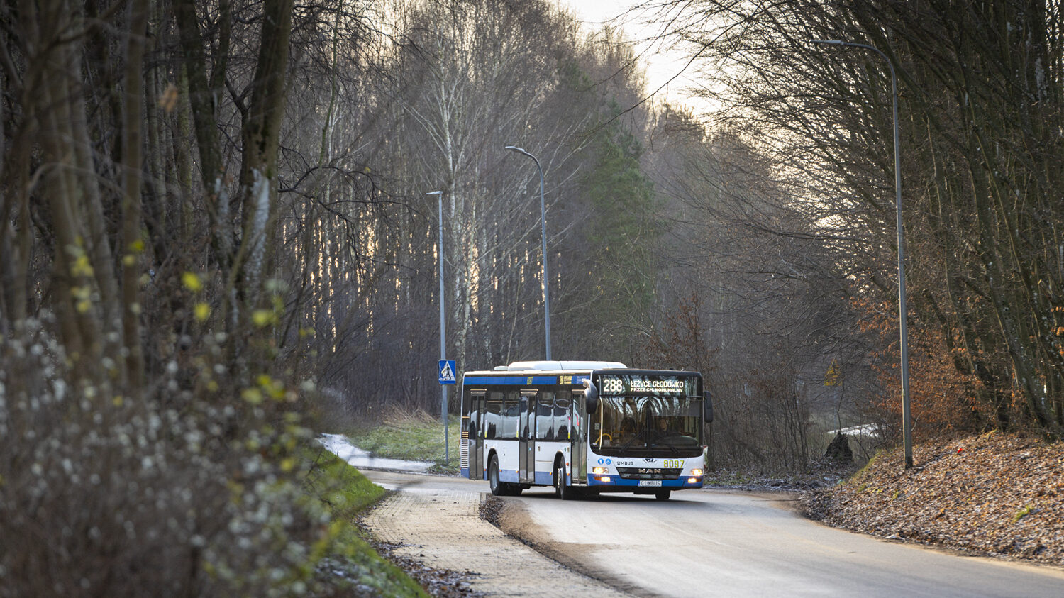 Witaj na naszej stronie!